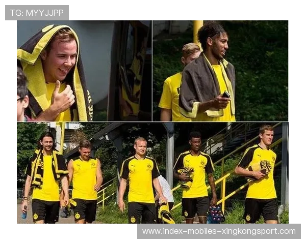 多特蒙德决策提前青年归队计划,迎接未来的新篇章 多特蒙德决策提前青年归队计划,迎接未来的新篇章