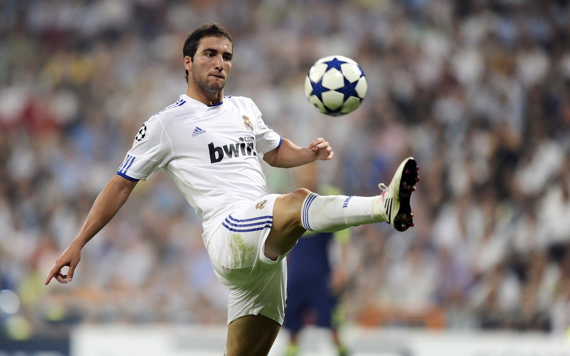 2026年非洲国家杯决赛 “黑马”队上演夺冠童话